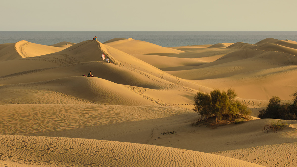Dunes at Sunset
